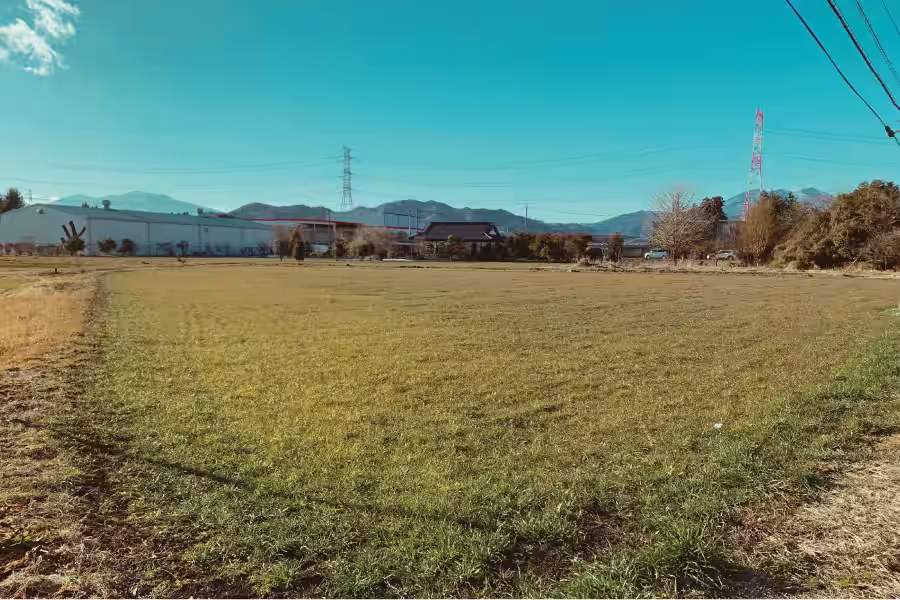 画像11