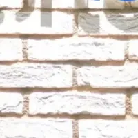 AI採用改革の実力