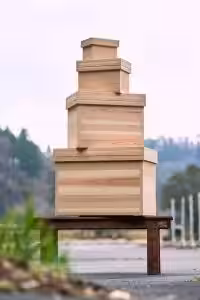 画像20