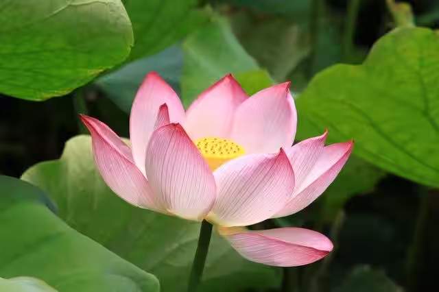 画像8