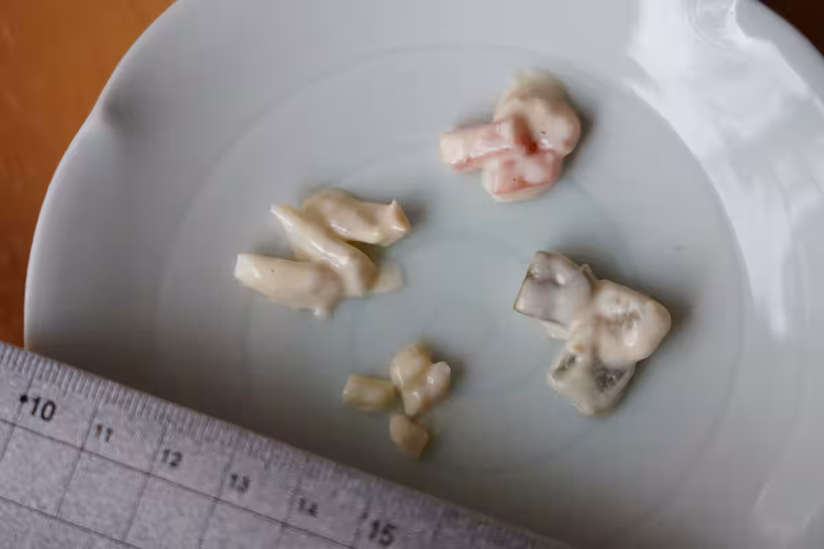 画像11