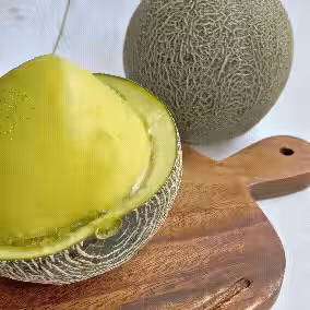 画像14