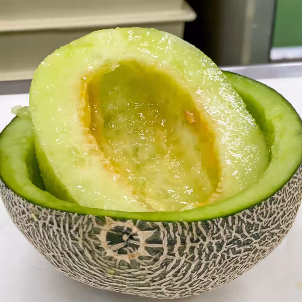 画像11