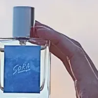 雨上がりの香り