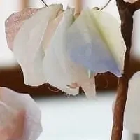 和紙アート講座