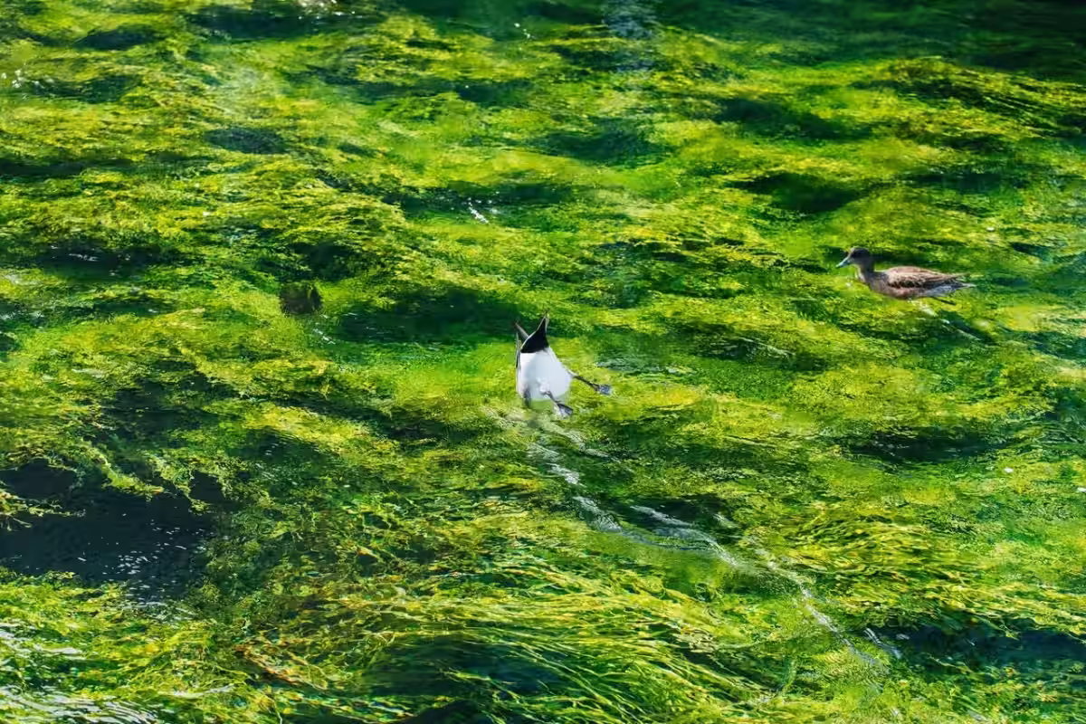 画像18