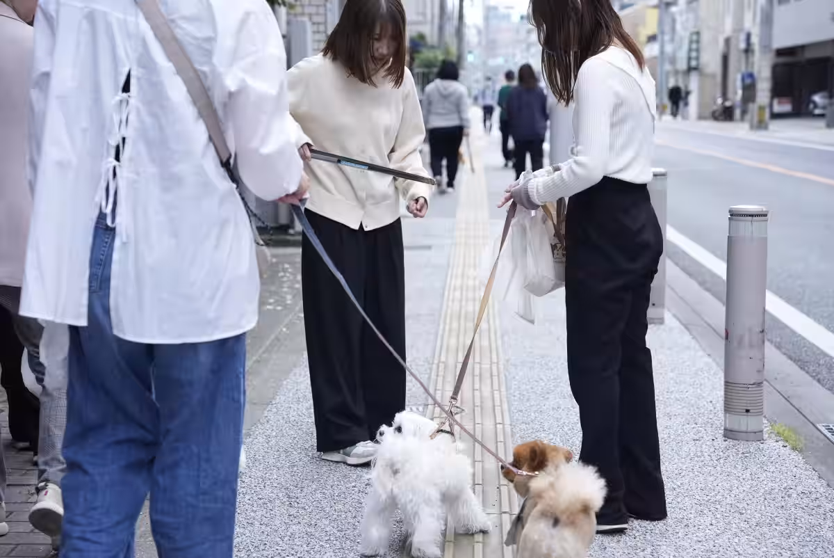 画像6