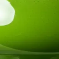 アダプトラテの魅力