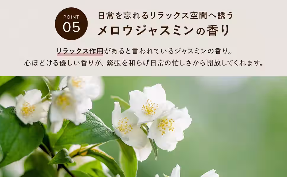 画像12