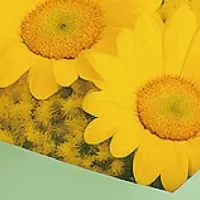 2025年父の日調査