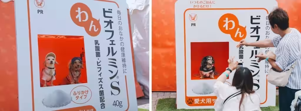 画像17