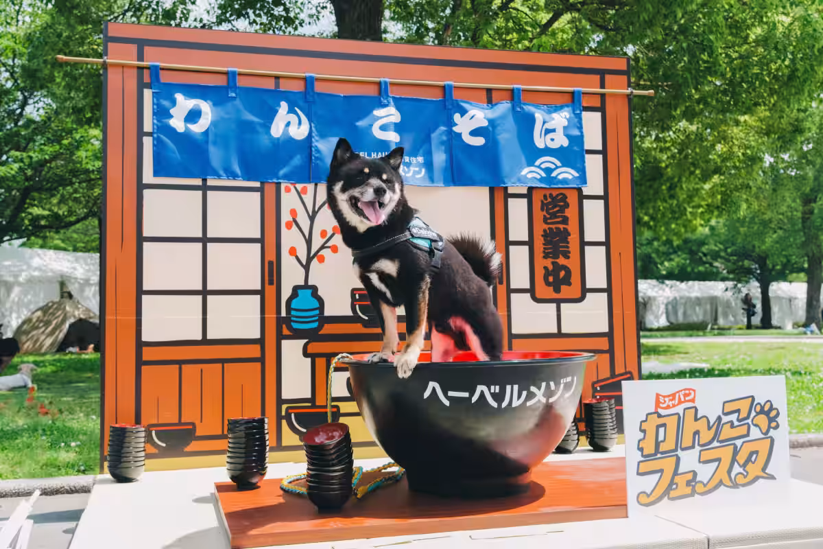 画像8