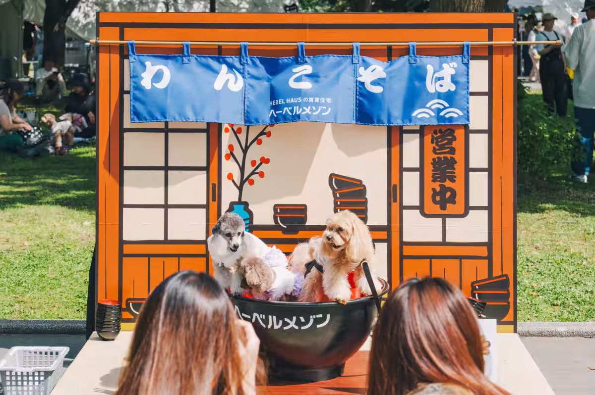 画像9