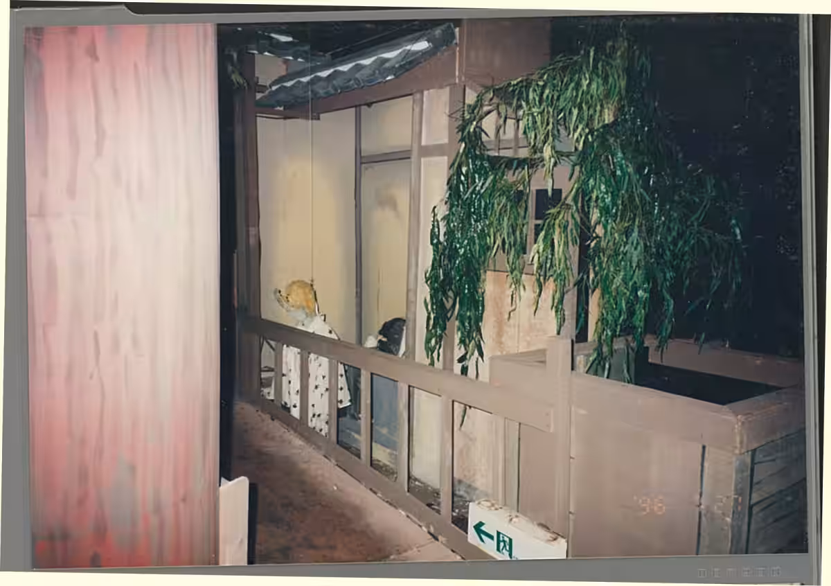 画像7