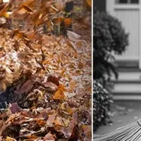 Semtyaitブロワー