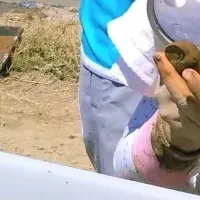 佐久市の米作り体験