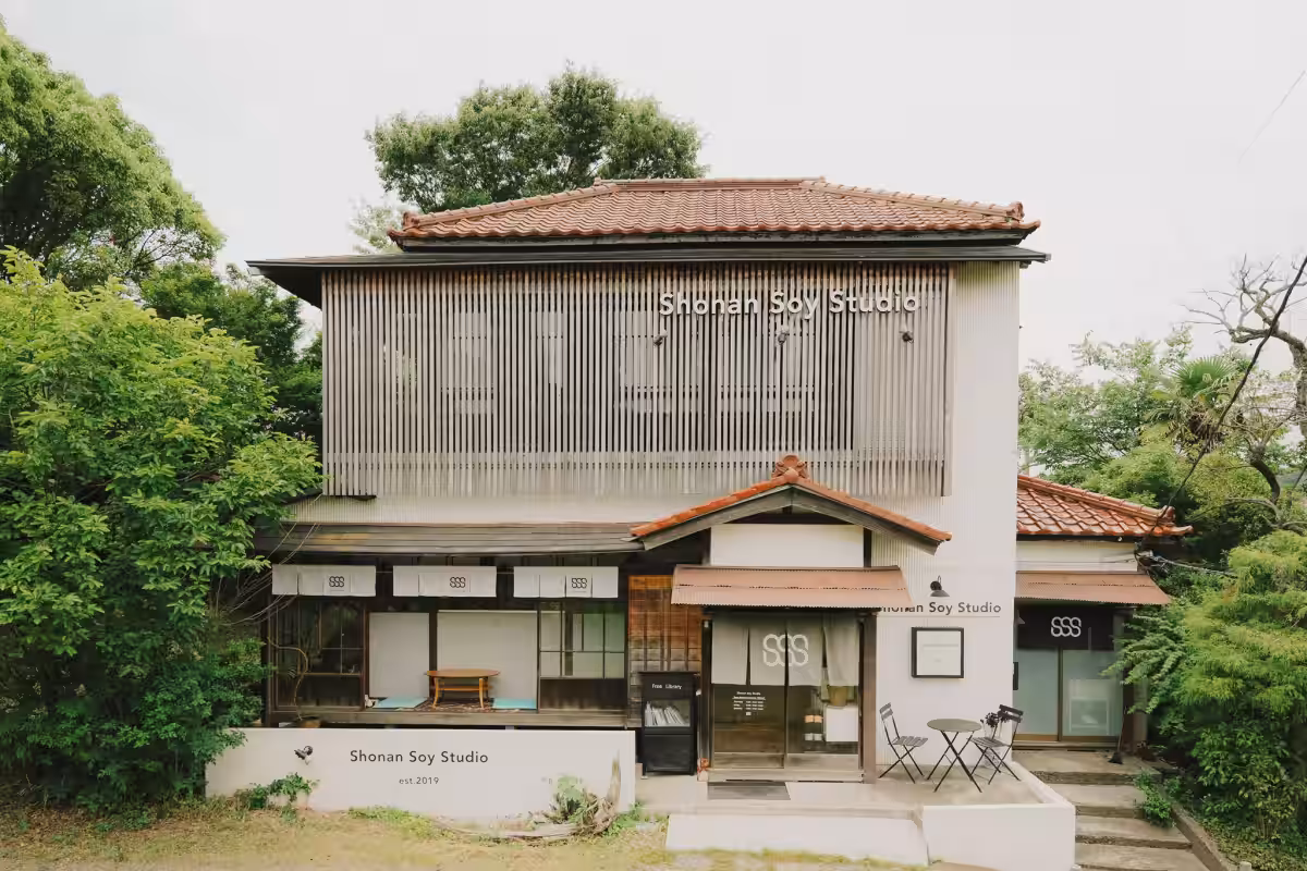 画像7