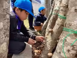 画像6
