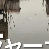 アフリカ探求の旅