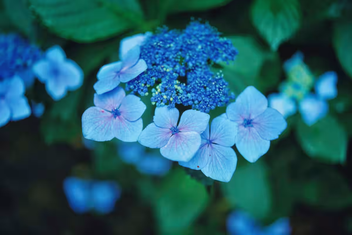 画像20