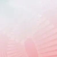 新たなコーヒーエコシステム