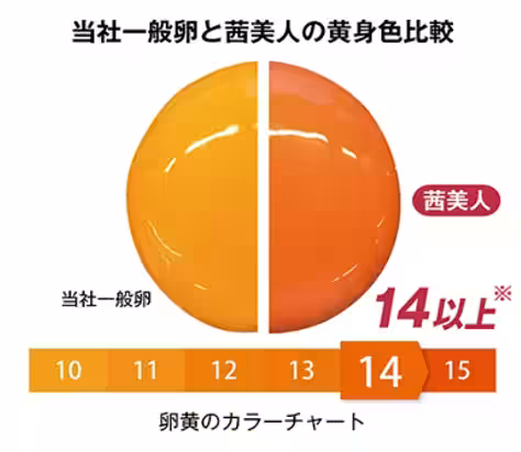 画像22