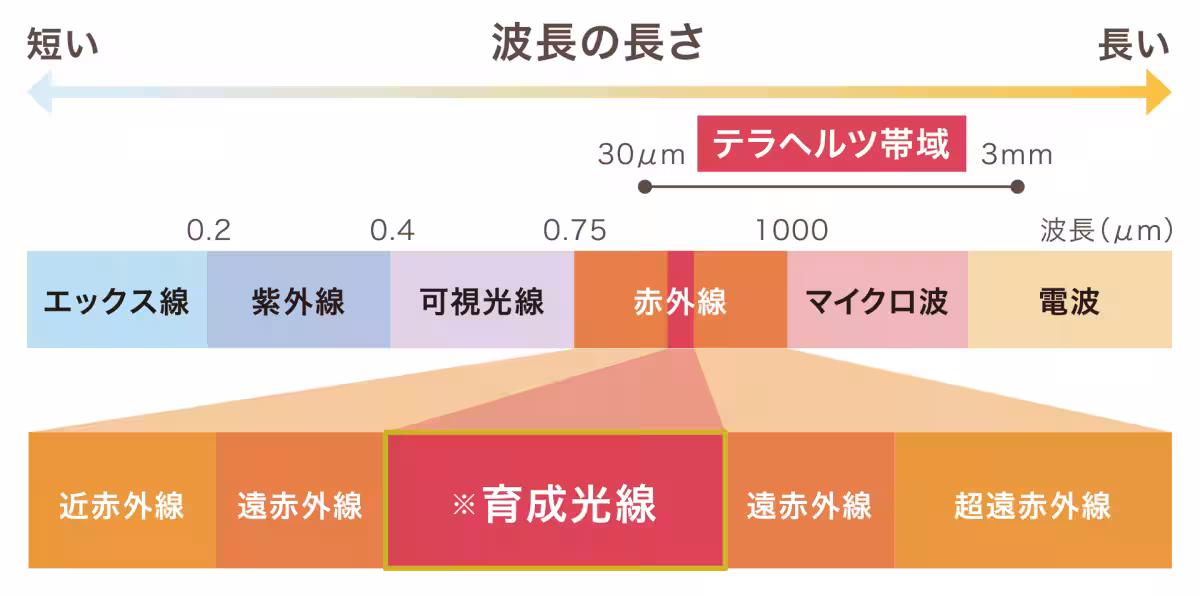 画像11