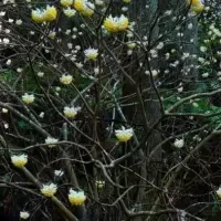 合同写真展「ときのながれ」