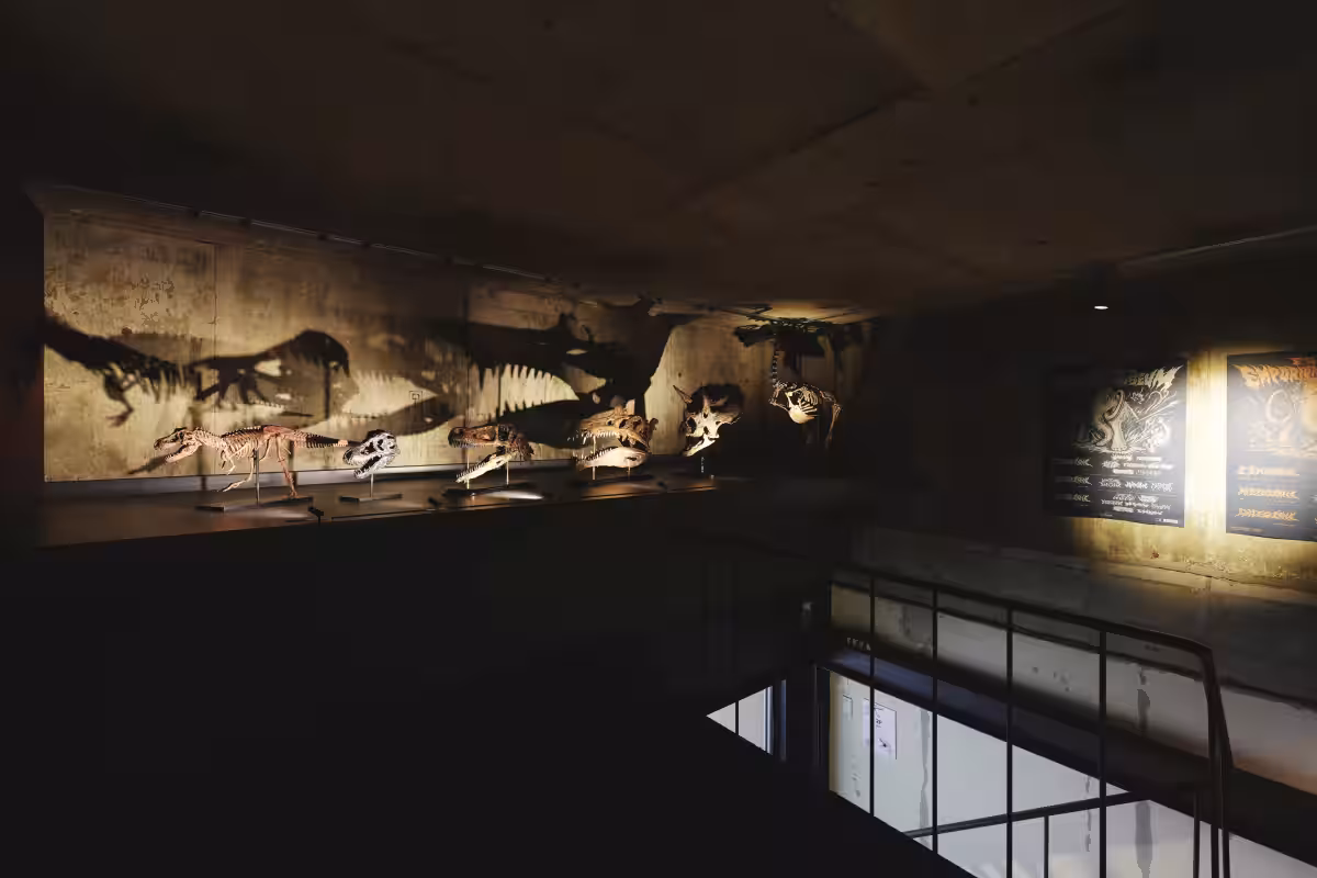 画像9