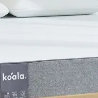 コアラマットレスBC新登場