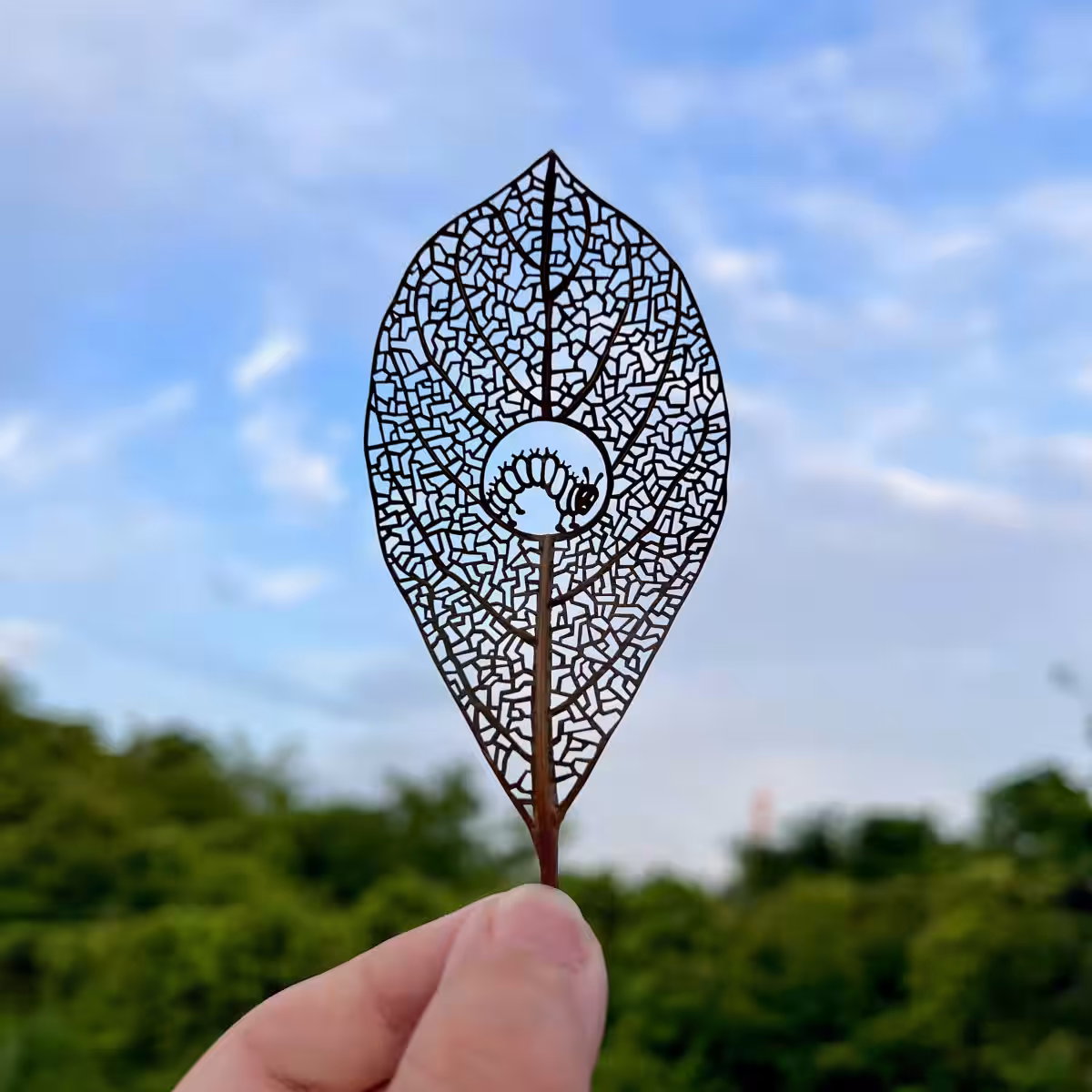 画像7