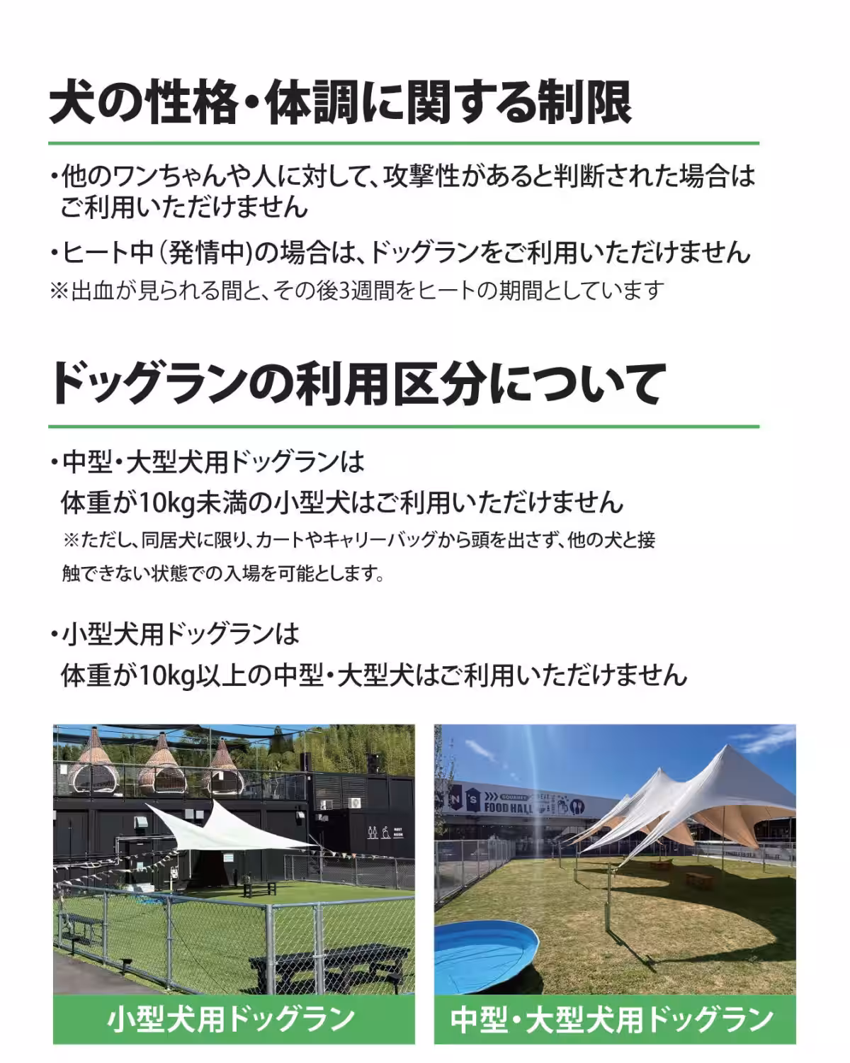 画像15