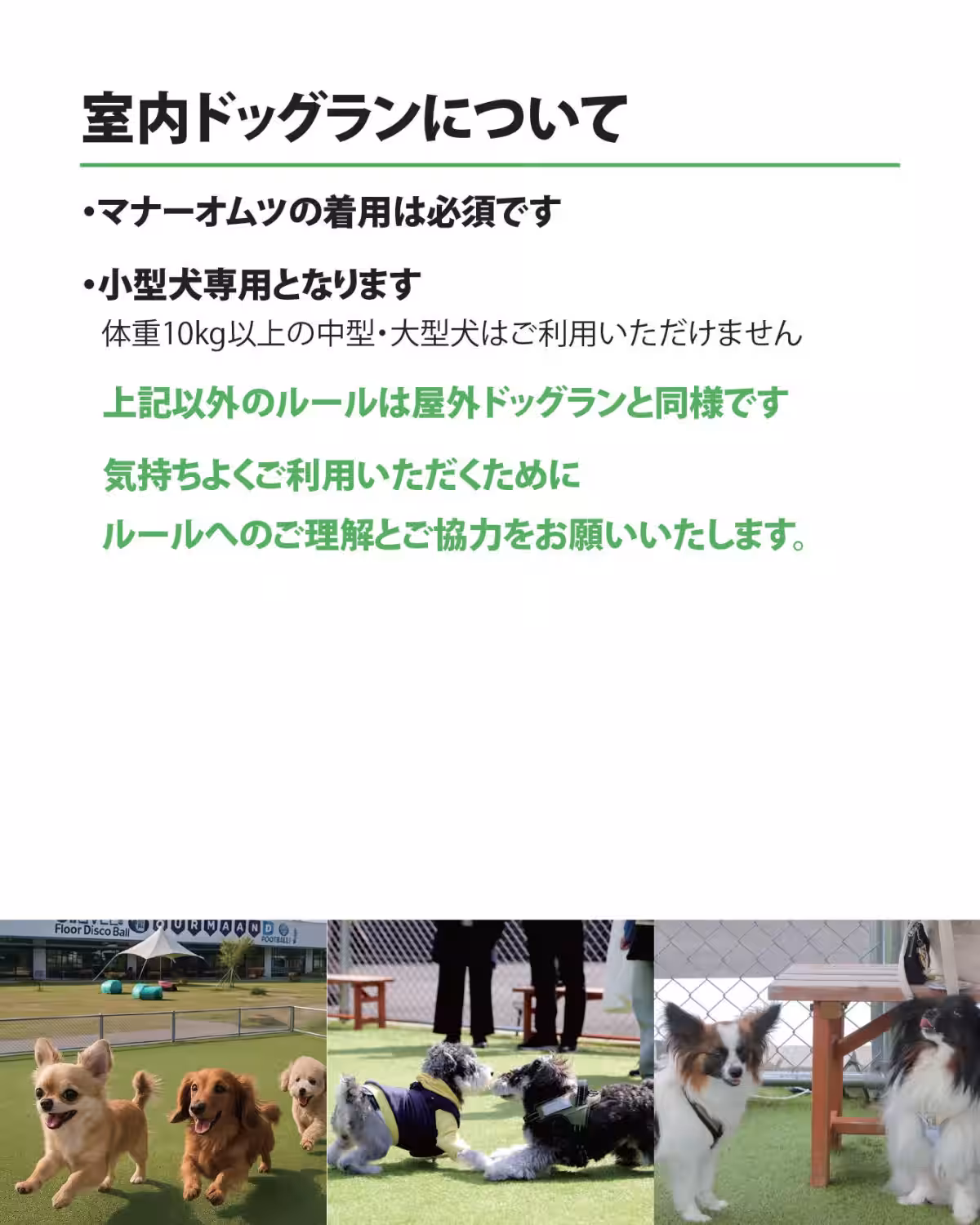 画像17