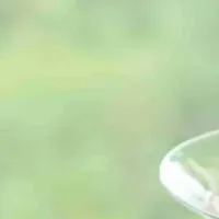 夏のウェルネスステイ