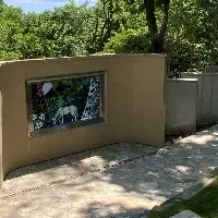 妖精の森で終活