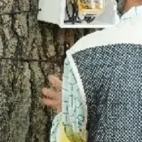 いちょう保存への道