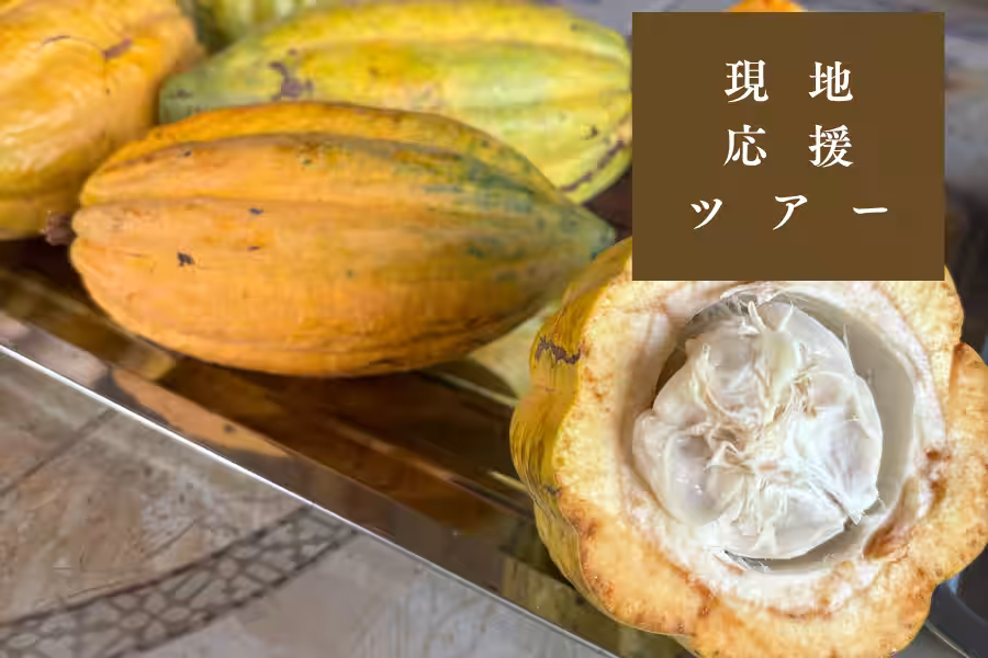 画像12