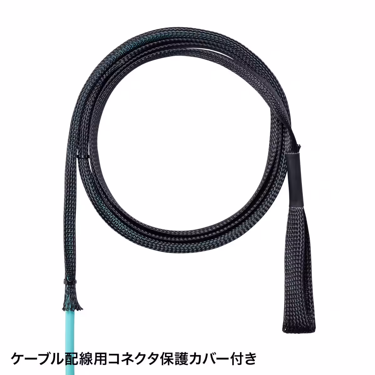 画像5