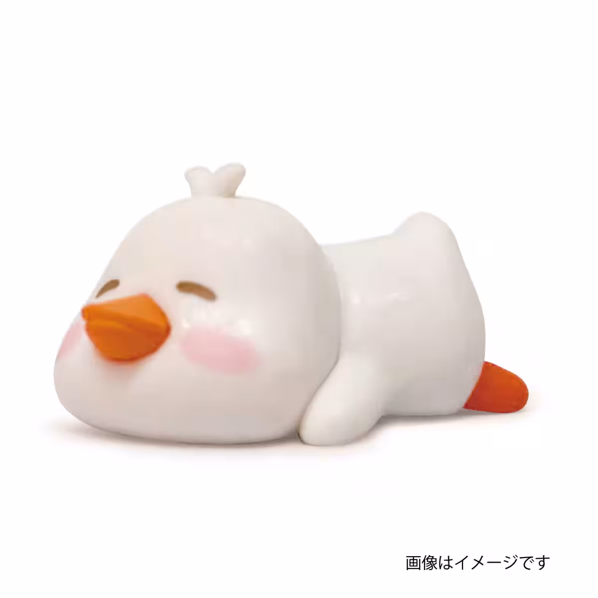 画像7
