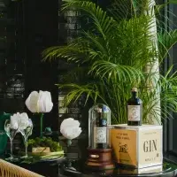 新宿の夏イベント