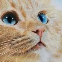 心温まるペットアート