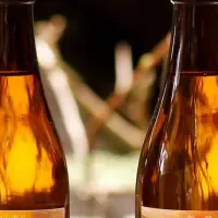 新之助金賞受賞