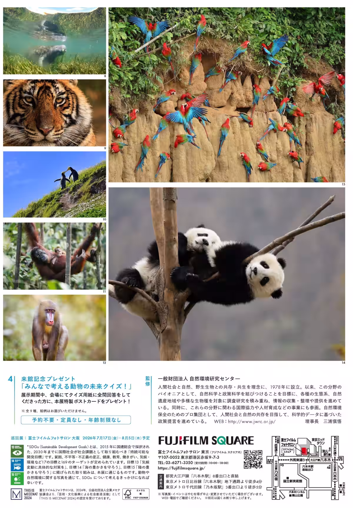 画像8