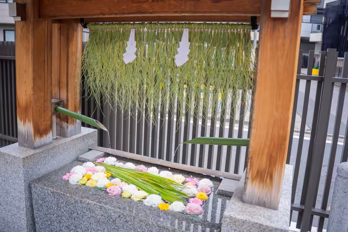 画像6