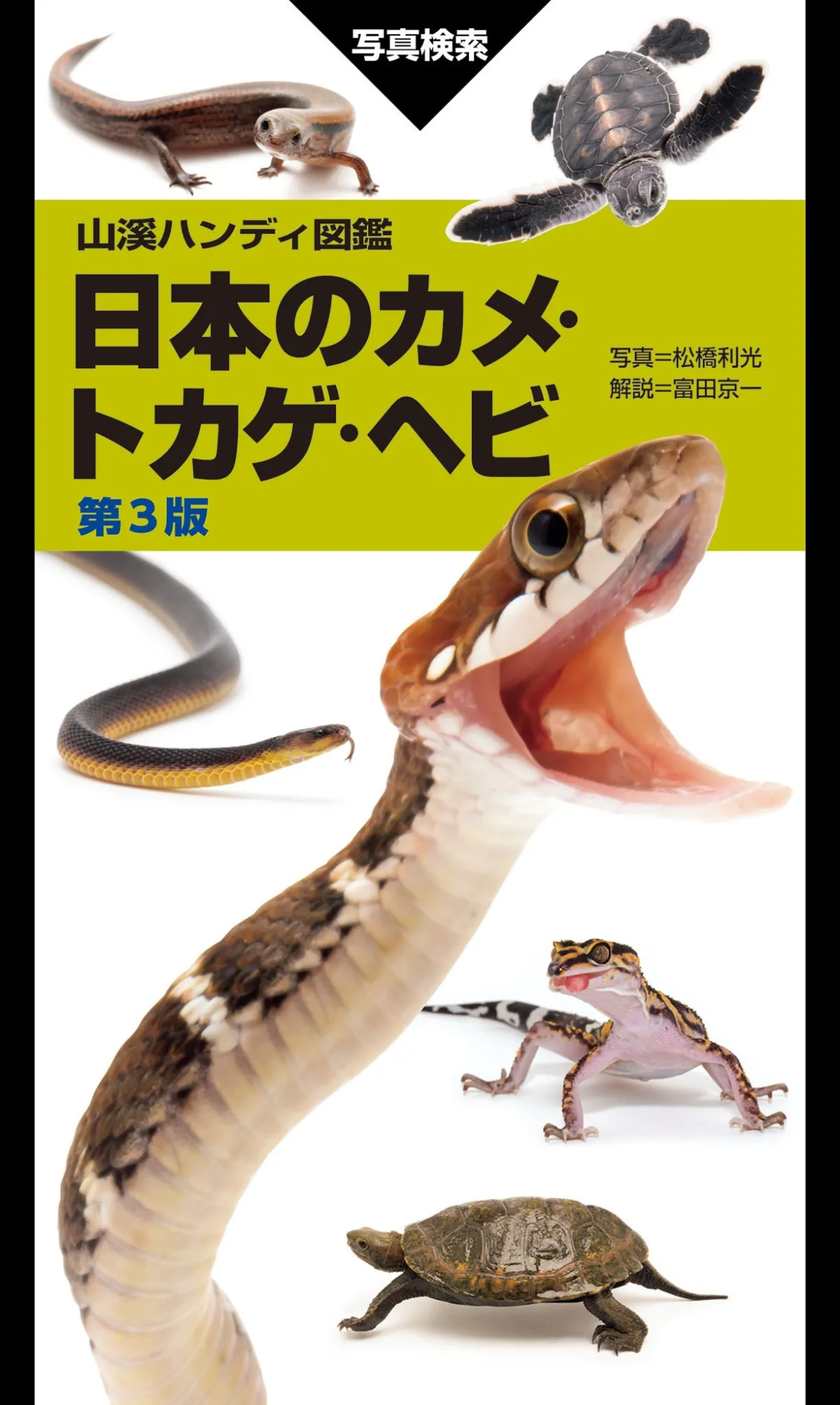 オーストラリアの蛇(爬虫類)写真図鑑