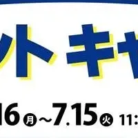 フォロワー5,000記念
