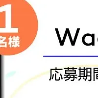 Wacom Cintiqの魅力