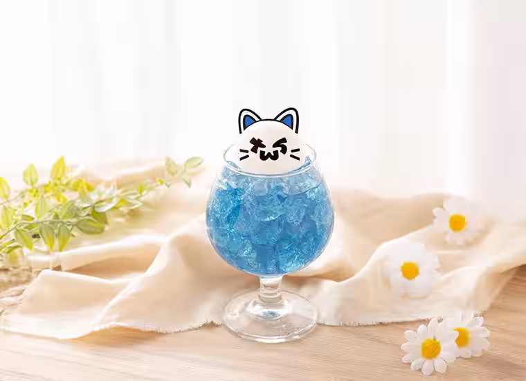 画像14