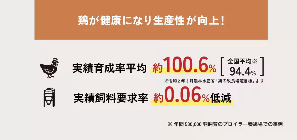 画像11