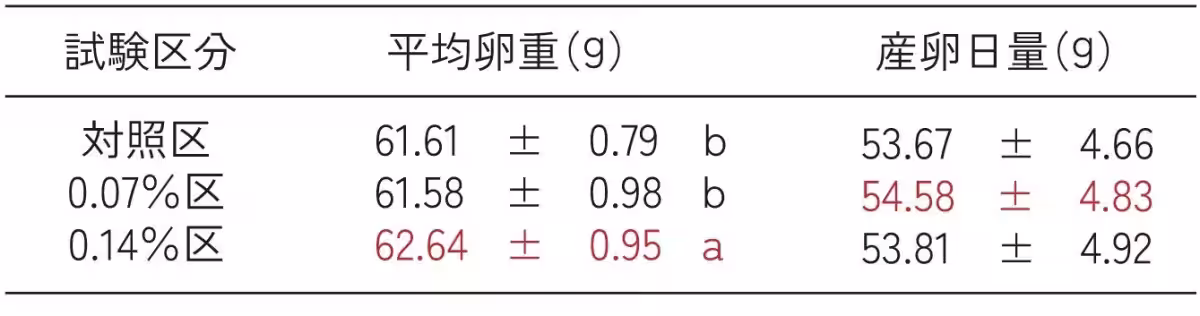 画像17